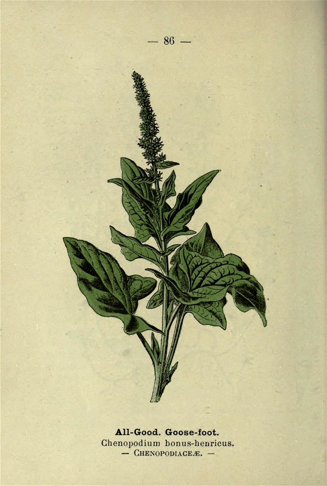 n179_w1150