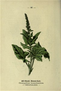 n179_w1150