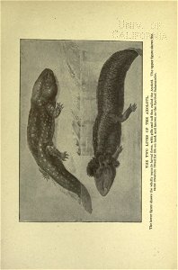 n172_w1150