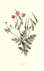 n43_w1150