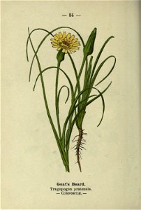 n175_w1150