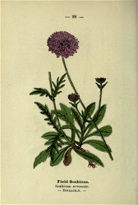 n203_w1150