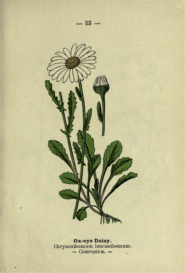 n114_w1150