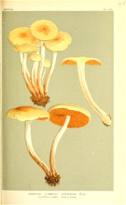 n120_w1150