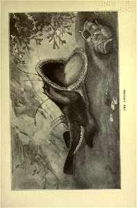 n310_w1150