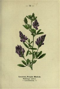 n154_w1150