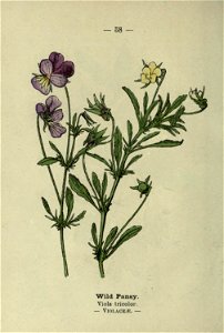 n123_w1150