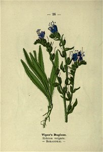 n59_w1150