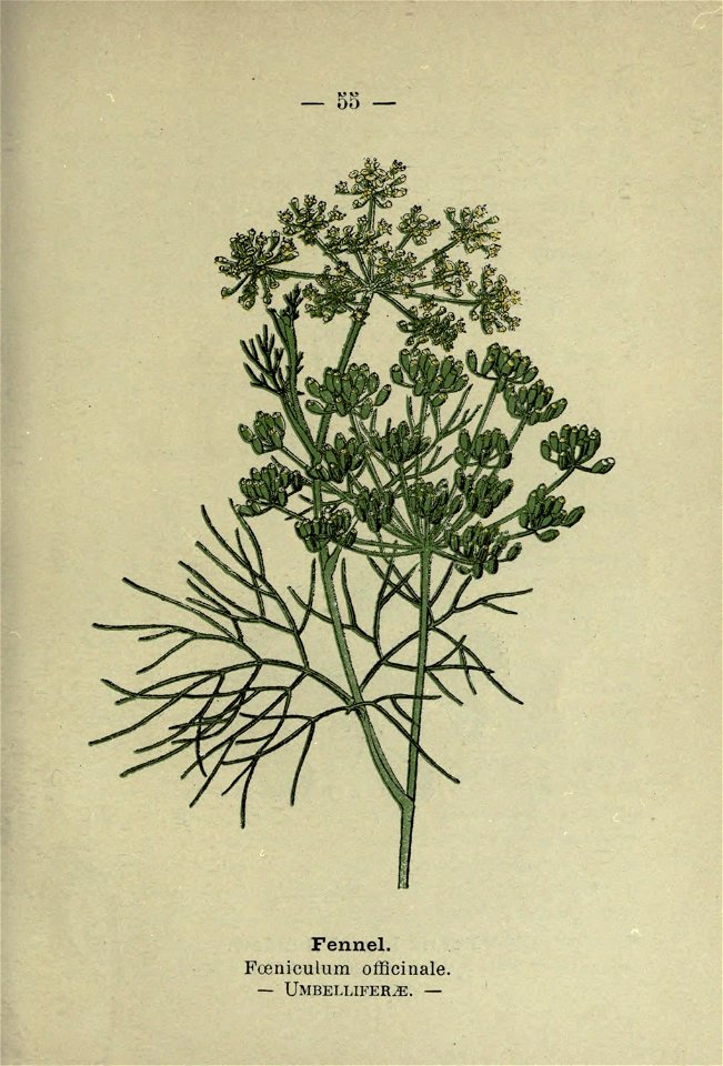 n118_w1150