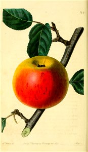n207_w1150
