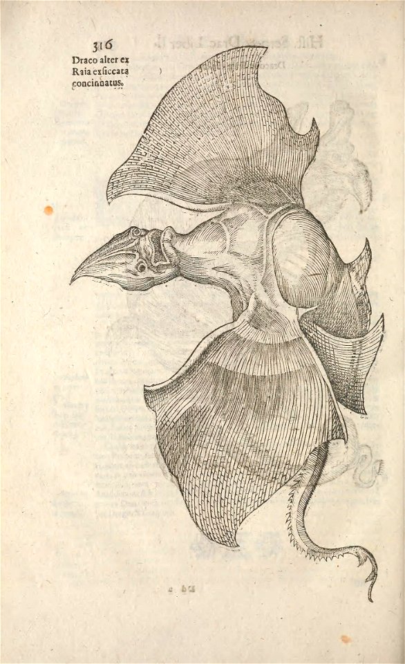 n333_w1150