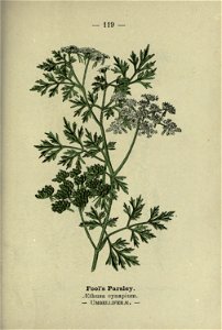 n246_w1150