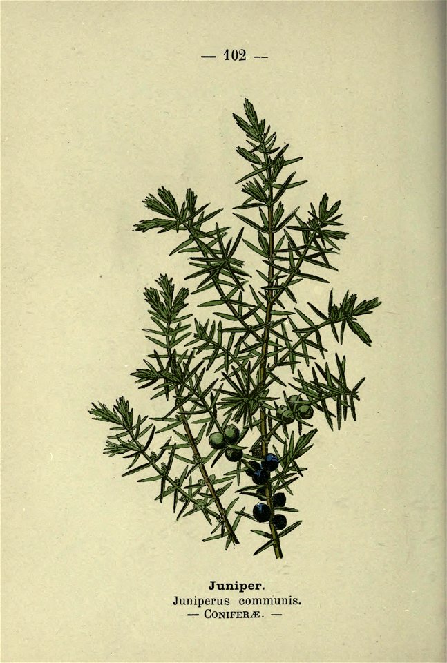 n211_w1150