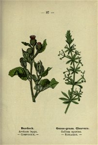 n182_w1150