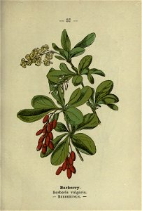 n122_w1150