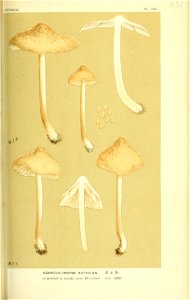 n564_w1150