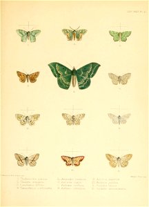 n124_w1150
