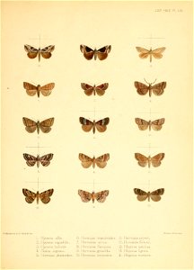 n136_w1150