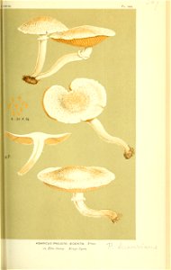 n394_w1150