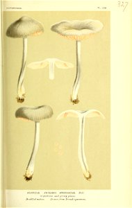 n158_w1150
