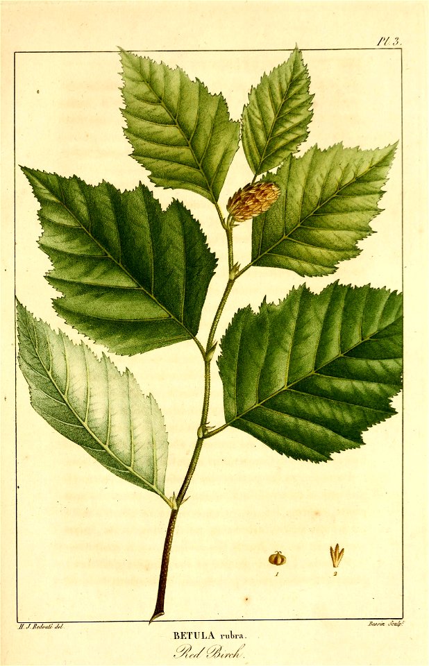 n206_w1150