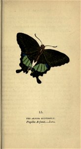 n92_w1150
