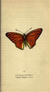 n56_w1150