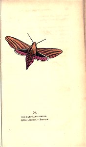n54_w1150
