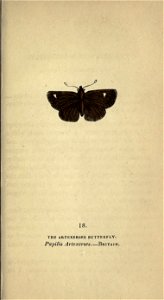 n102_w1150