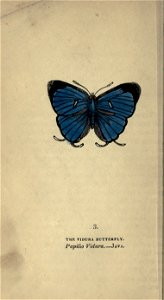 n51_w1150