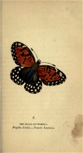n50_w1150