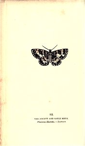 n169_w1150
