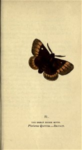 n154_w1150