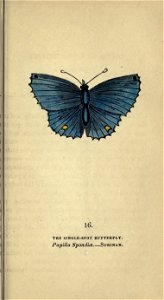 n96_w1150
