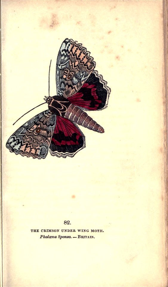 n166_w1150