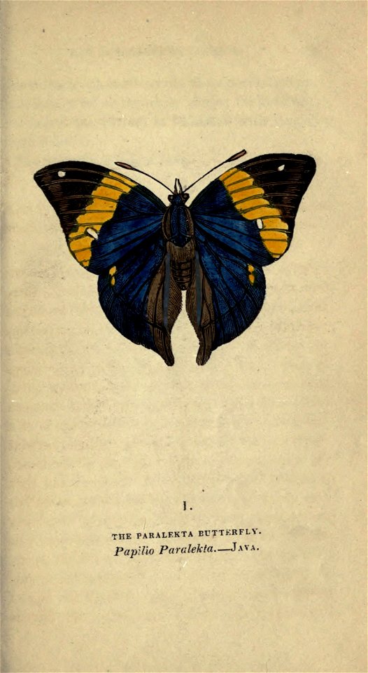 n46_w1150