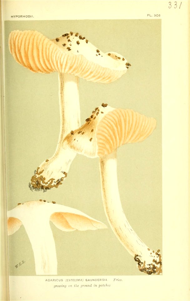 n174_w1150
