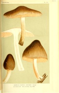n56_w1150
