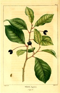 n369_w1150