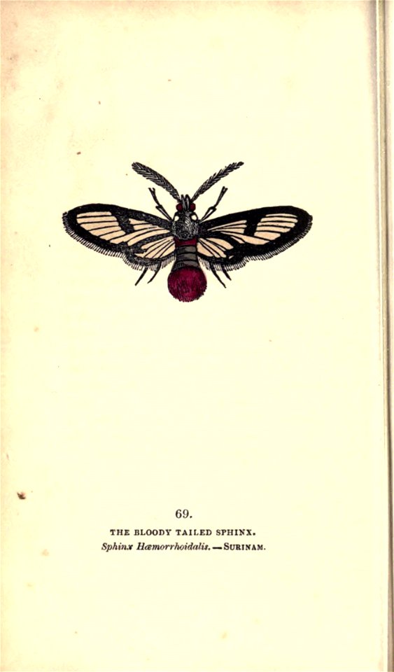 n51_w1150