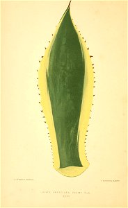 n153_w1150