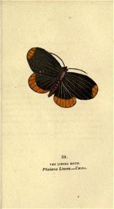 n182_w1150