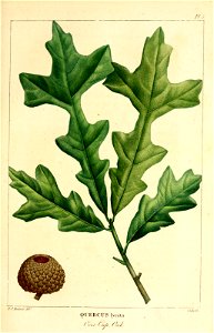 n58_w1150