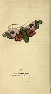 n119_w1150