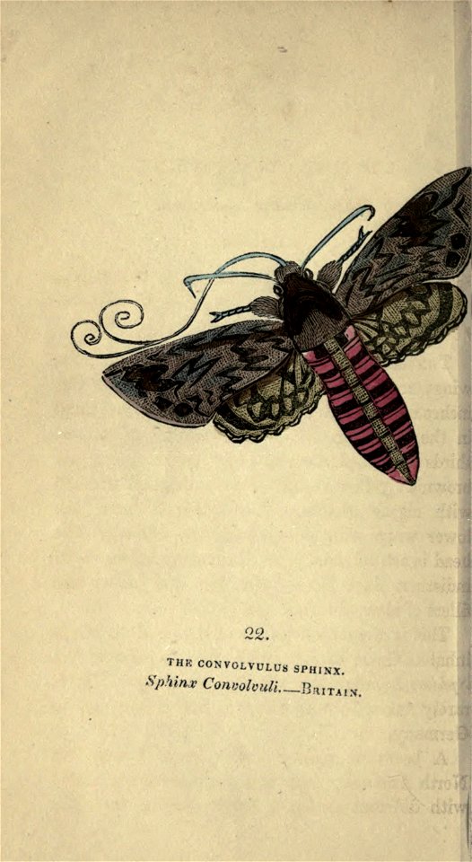 n115_w1150