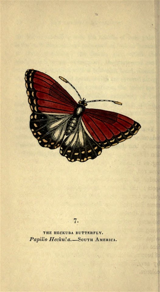 n67_w1150