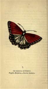 n67_w1150