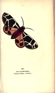 n186_w1150