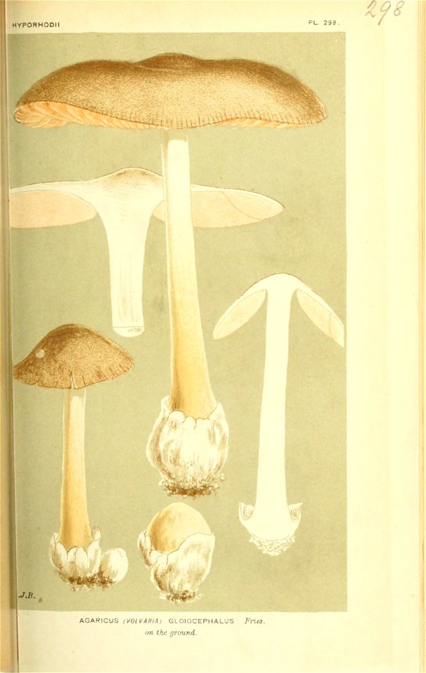 n44_w1150