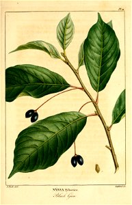 n362_w1150